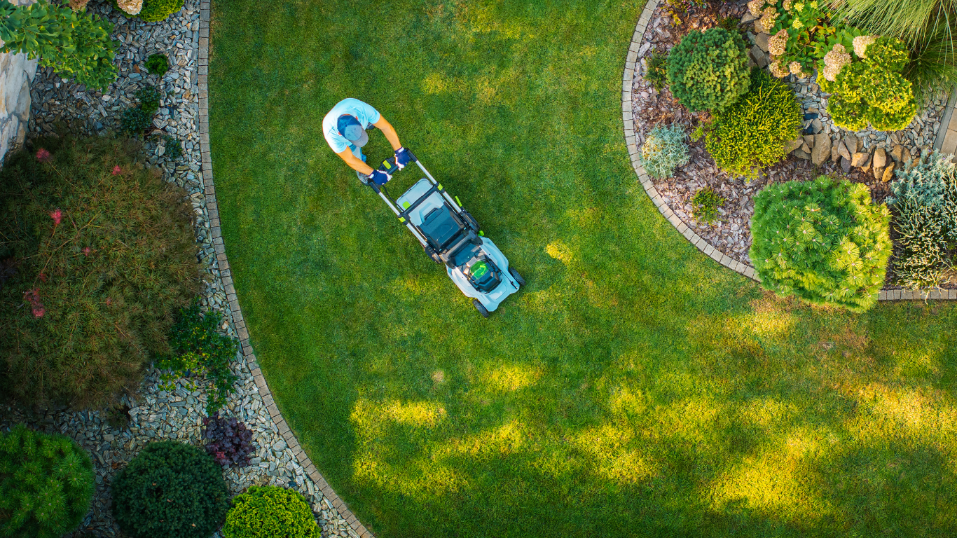 Aerial view of a person kayaking on a green lawn-lined pond beside winding garden paths