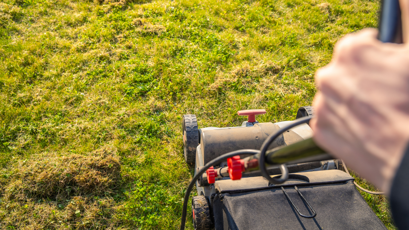 A person using a lawn mower on a grassy lawn, with a hand on the handle and red controls visible.