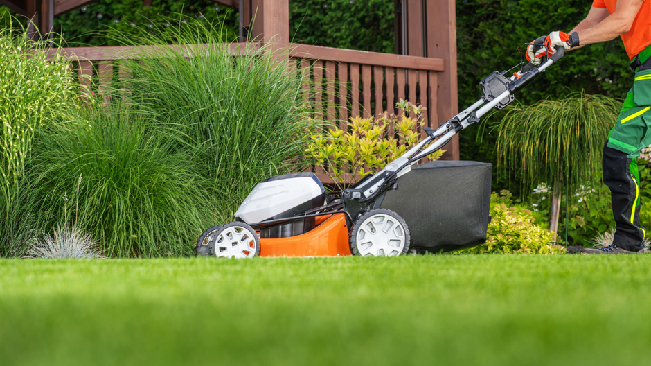Person mowing a grassy lawn with a push mower near a wooden fence and garden shrubs