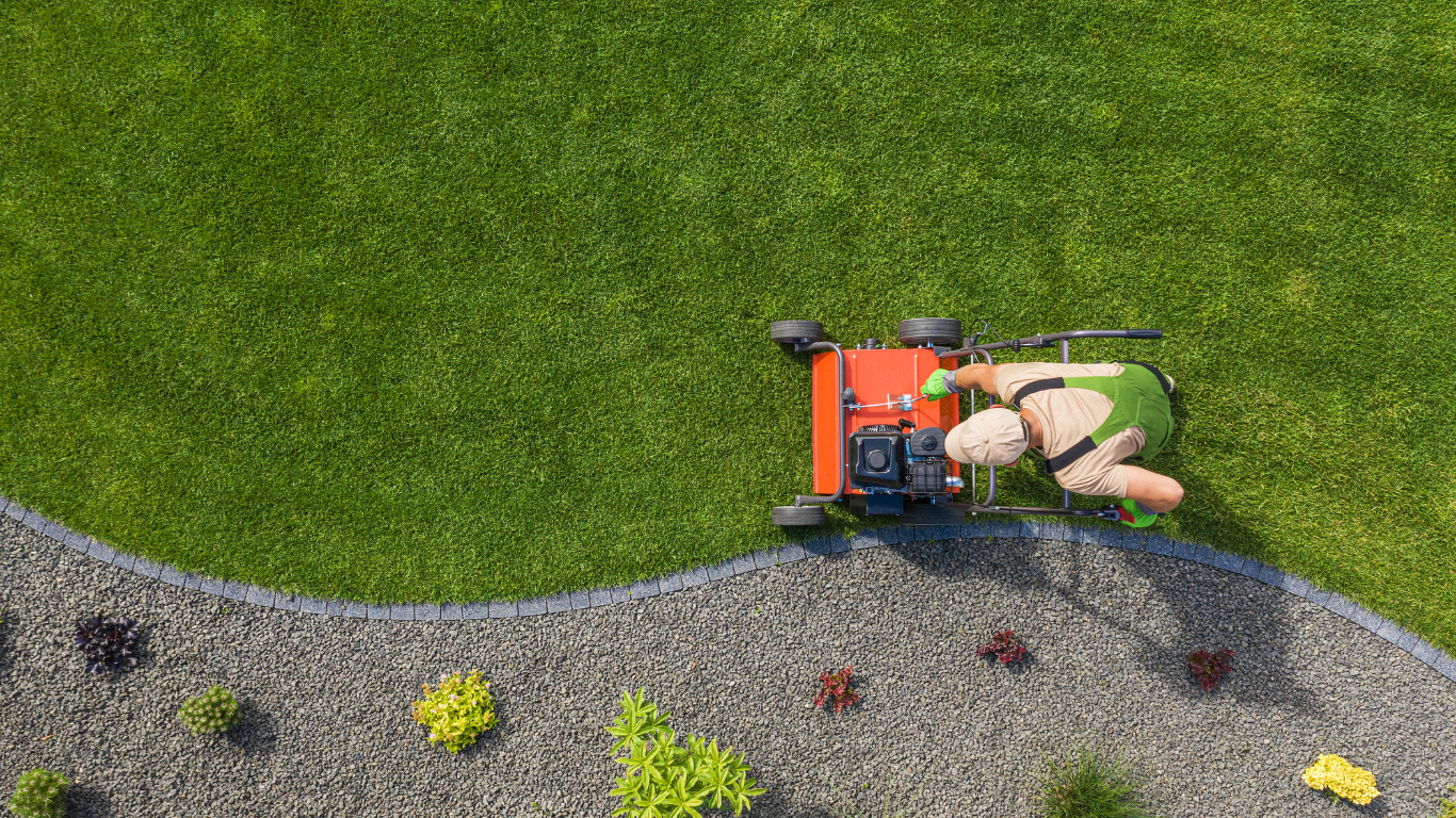 Yard Maintenance Services