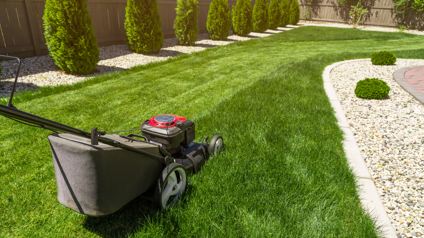 Small Commercial Lawn Care