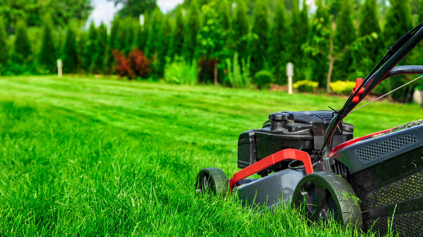  Weekly Lawn Care