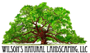 Large green tree with a brown trunk, 