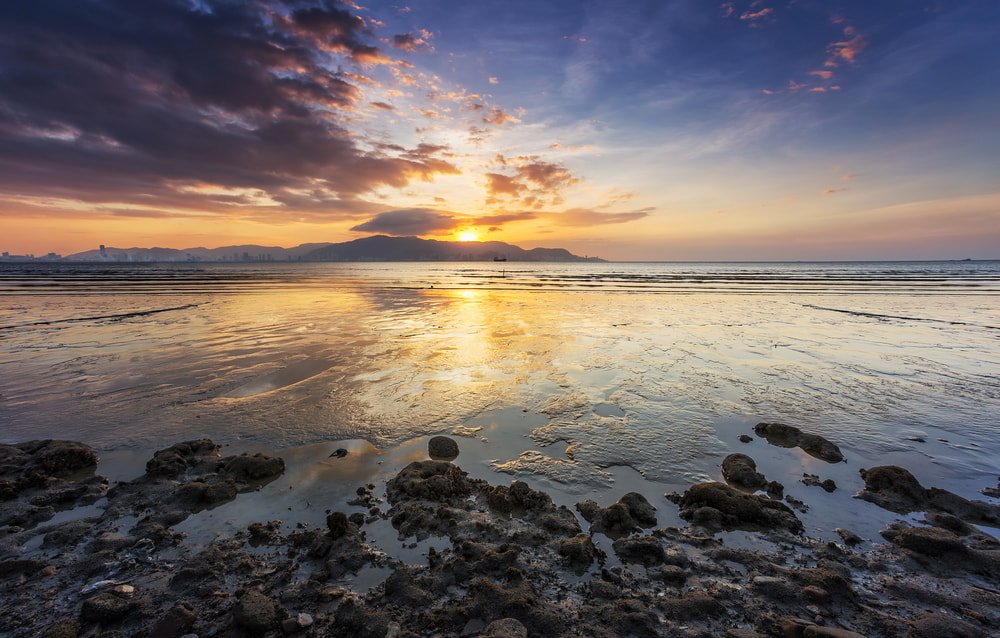 Roofing Contractors Tweed Heads Ron Nickel Roofing