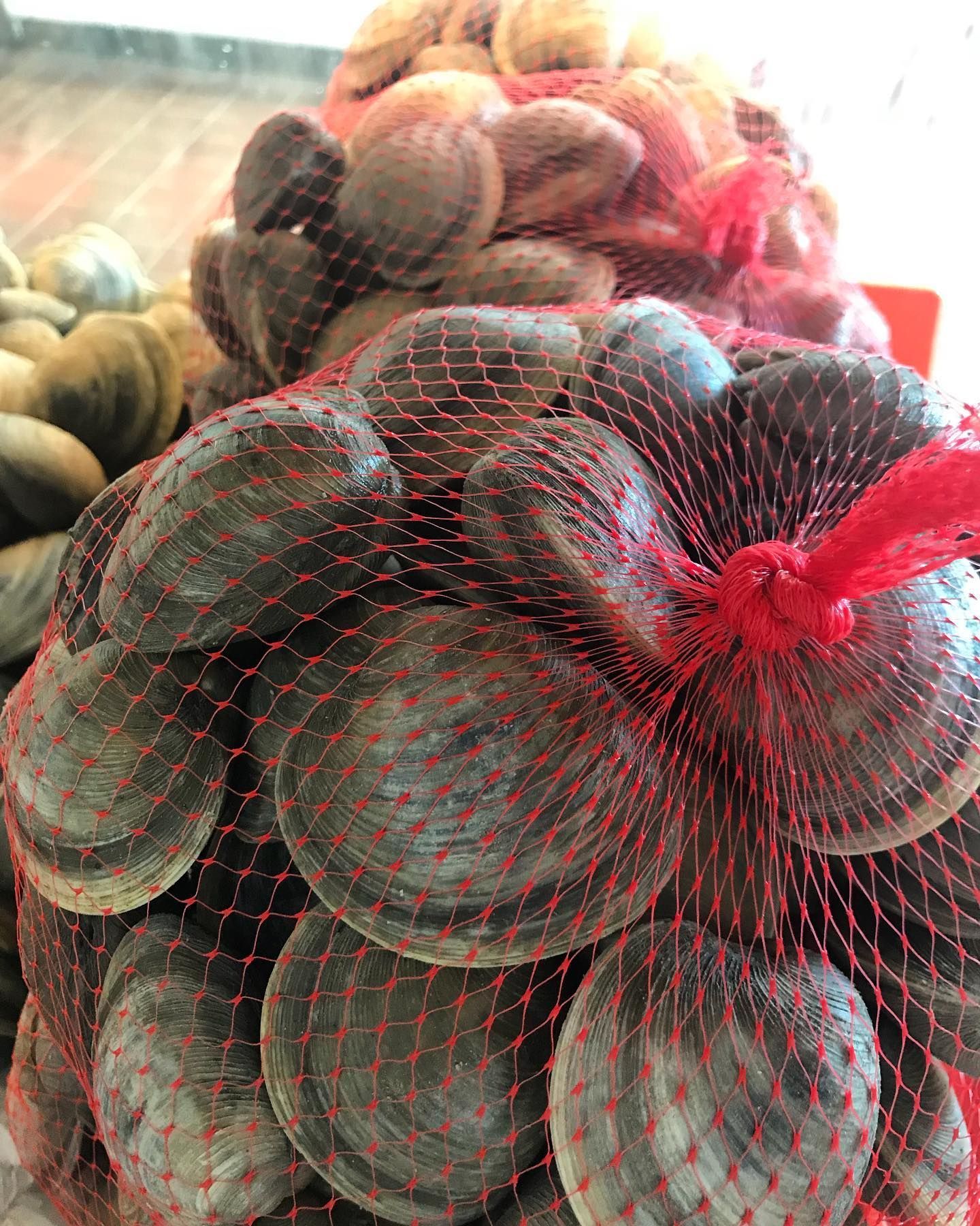 Clams in red mesh bags at a market, shells are brown.