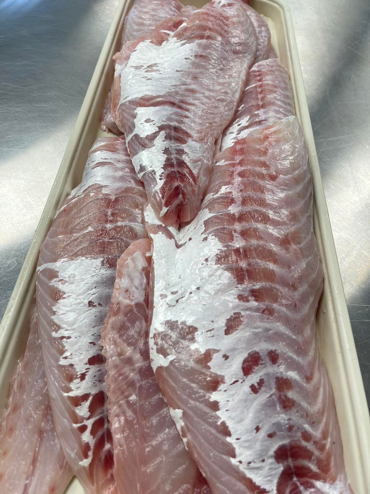 Raw fish fillets in a rectangular container, pink flesh with white patches.