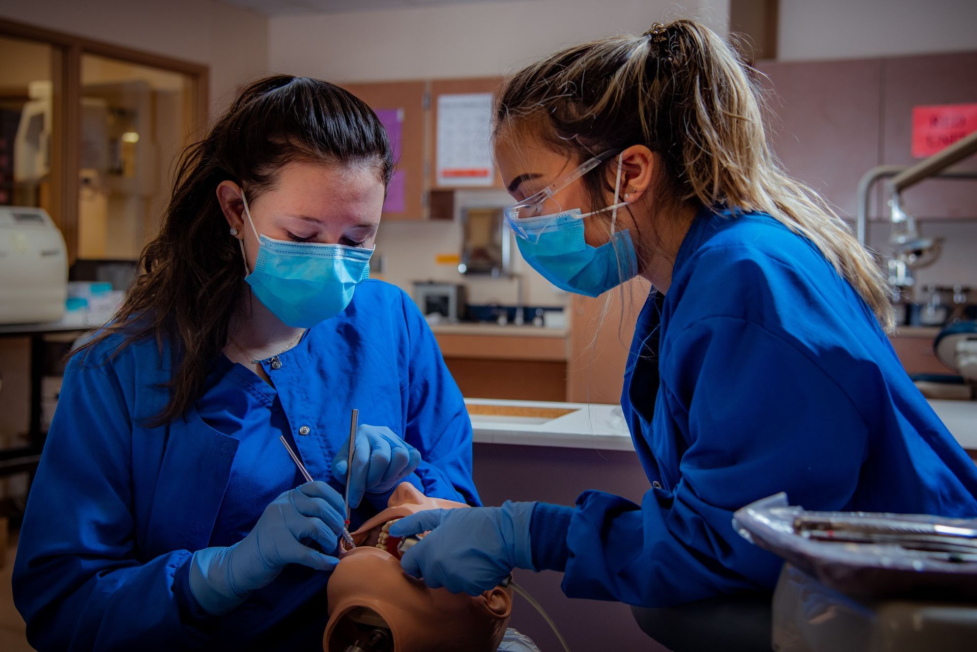 Two dental students practicing on model of human head with mouth and teeth