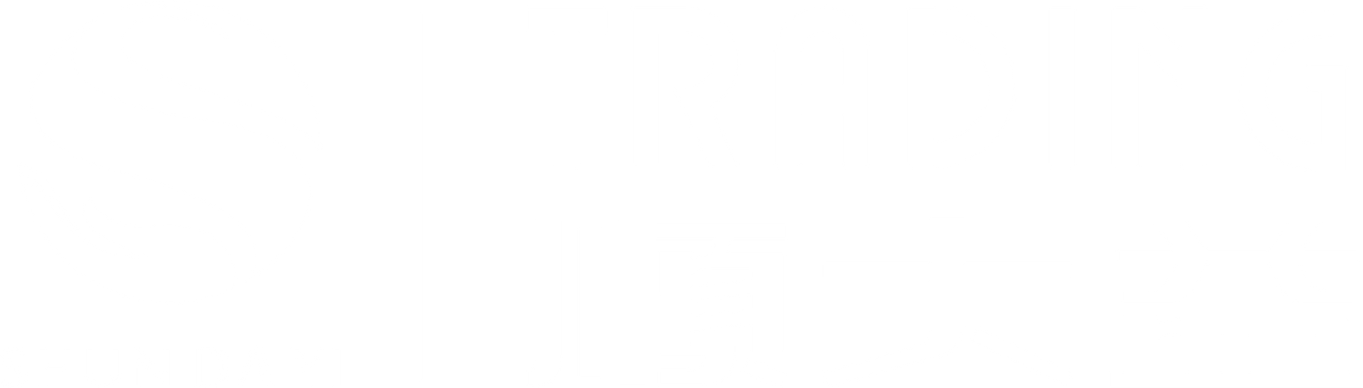 白色背景。