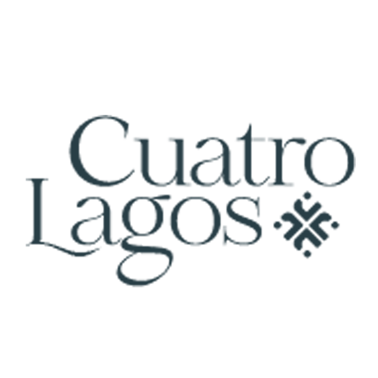 Logotipo de Cuatro Lagos en texto serif gris oscuro con una pequeña marca geométrica sobre un fondo blanco.