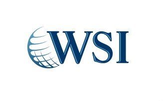 Logotipo azul de WSI con icono de globo terráqueo sobre fondo blanco