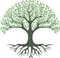 Green tree with visible roots and leafy crown.