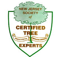 New Jersey Society of Certified Tree Experts logo: green shield, tree-shaped text box, banners.