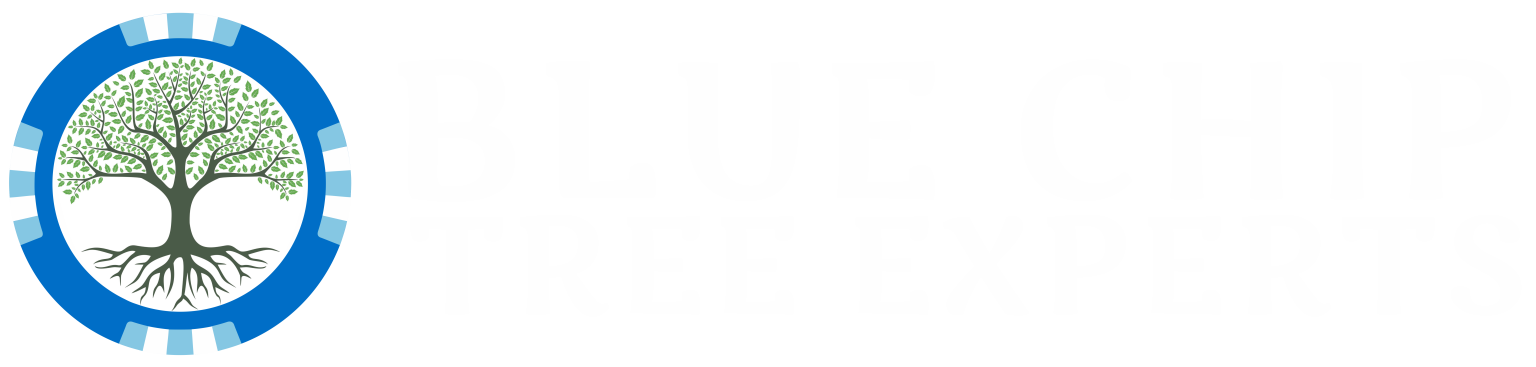 Logo of a tree in a blue gear-like circle.