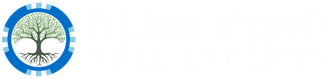 Logo of a tree in a blue gear-like circle.