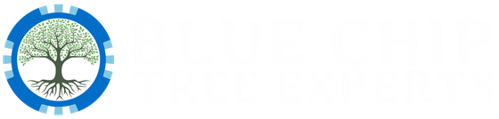 Logo of a tree in a blue gear-like circle.