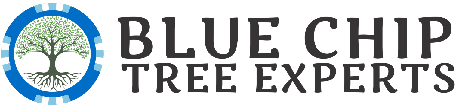Logo for Blue Chip Tree Experts: a tree inside a blue circle with the company name.
