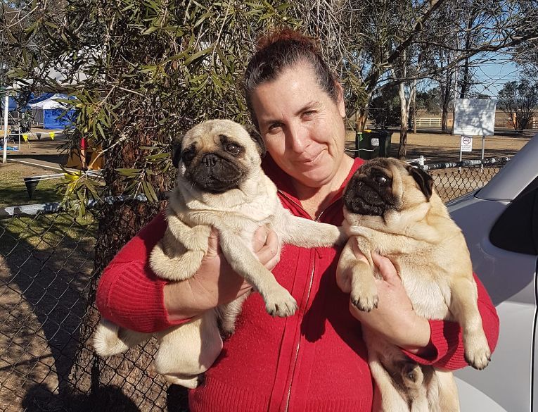 Lady in Red Jacket with Two Pugs - Pet Waggin, Toowoomba