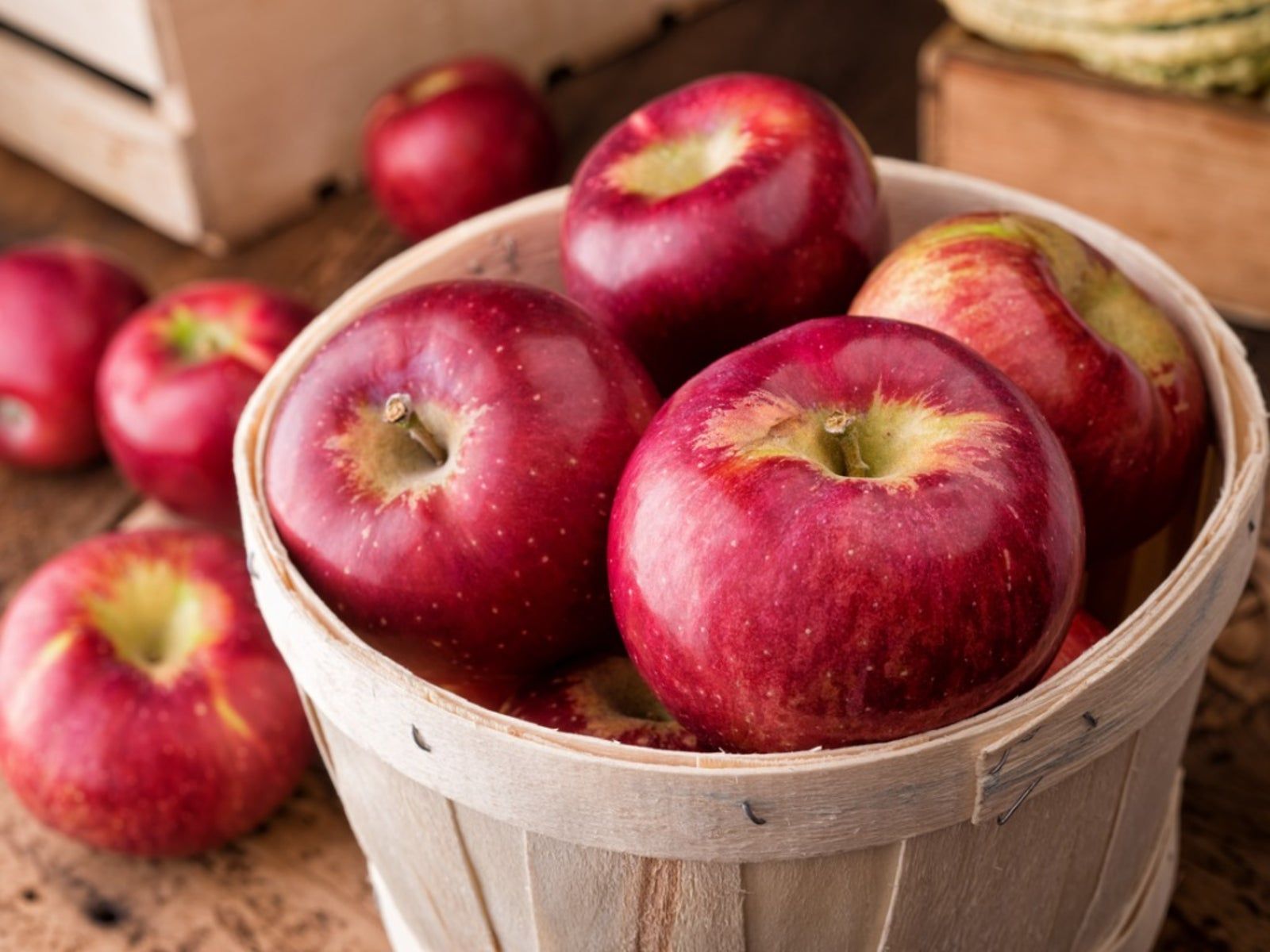 Cortland Apple