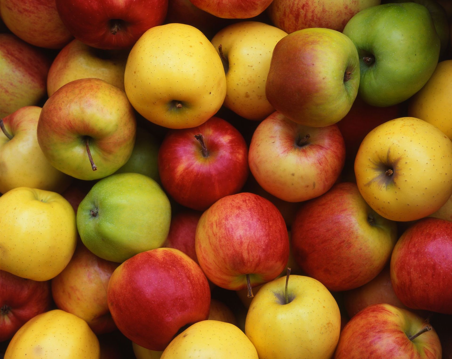 Hardy Combo Apple