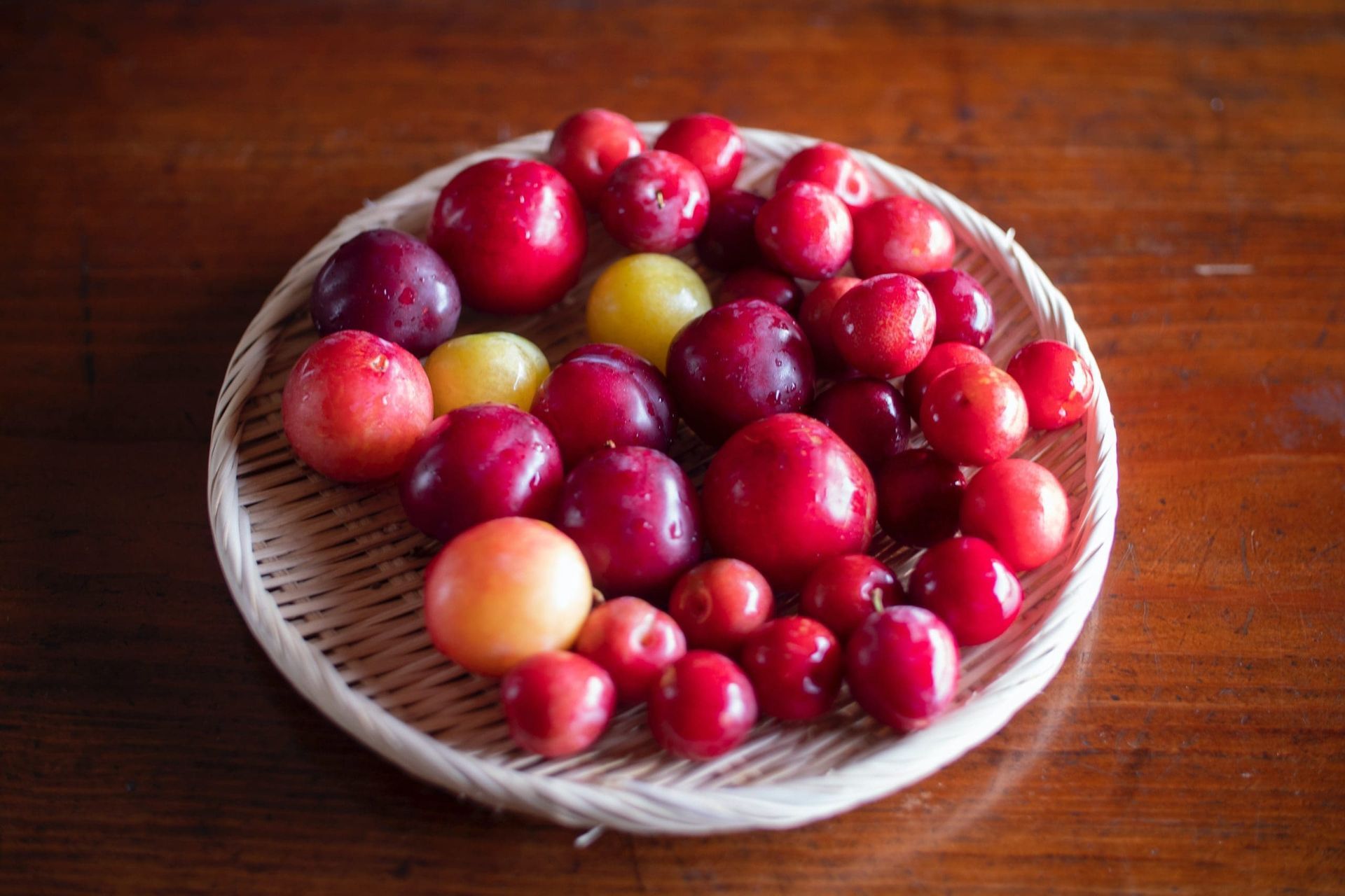 Hardy Combo Plum