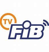 É o logotipo de uma empresa chamada fib.