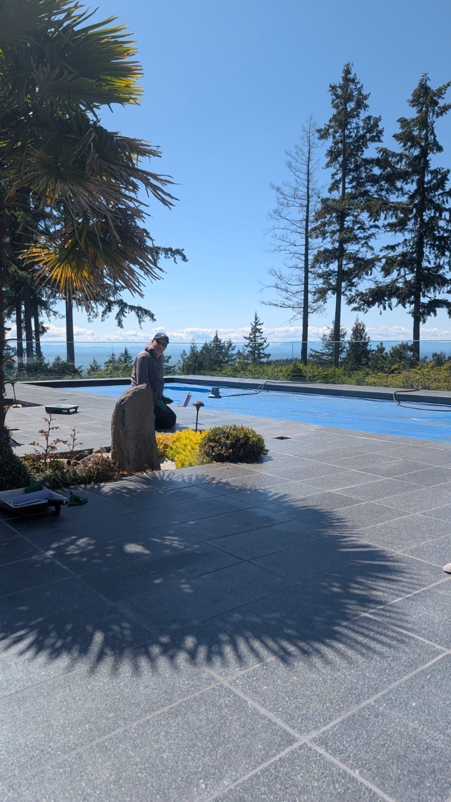 Sunlit poolside patio with palm trees, ocean view, and a seated dog in the foreground.