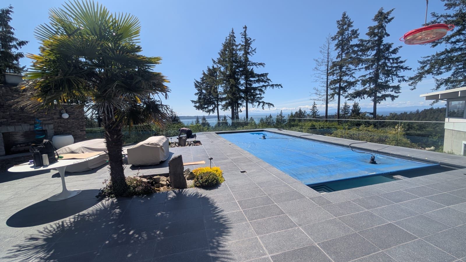Outdoor pool deck with blue pool, lounge chairs, palm trees, and clear sunny sky