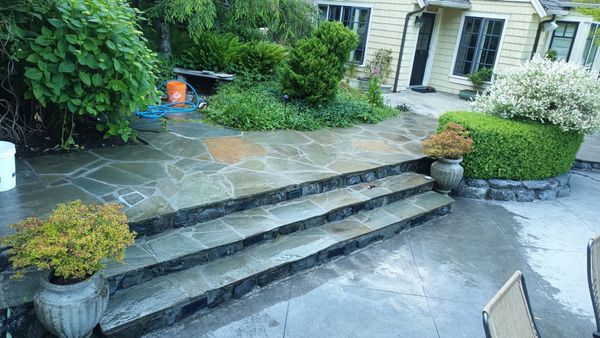 Stone steps leading to a wet patio beside a house, with potted plants and trimmed hedges