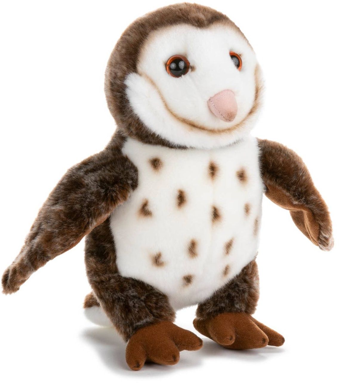 Barn Owl