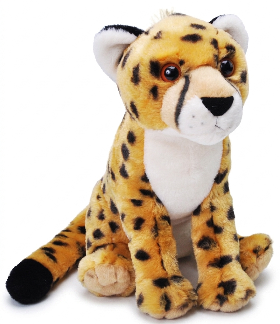CK Cheetah