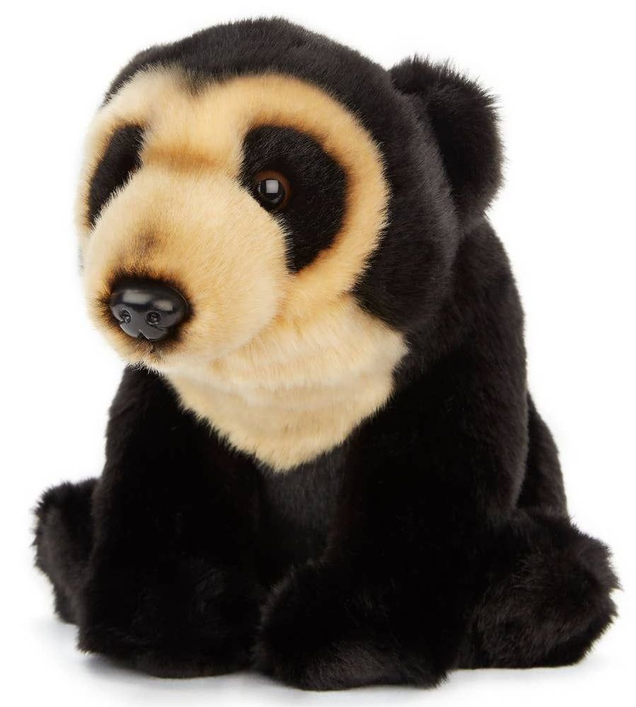 Andean Bear