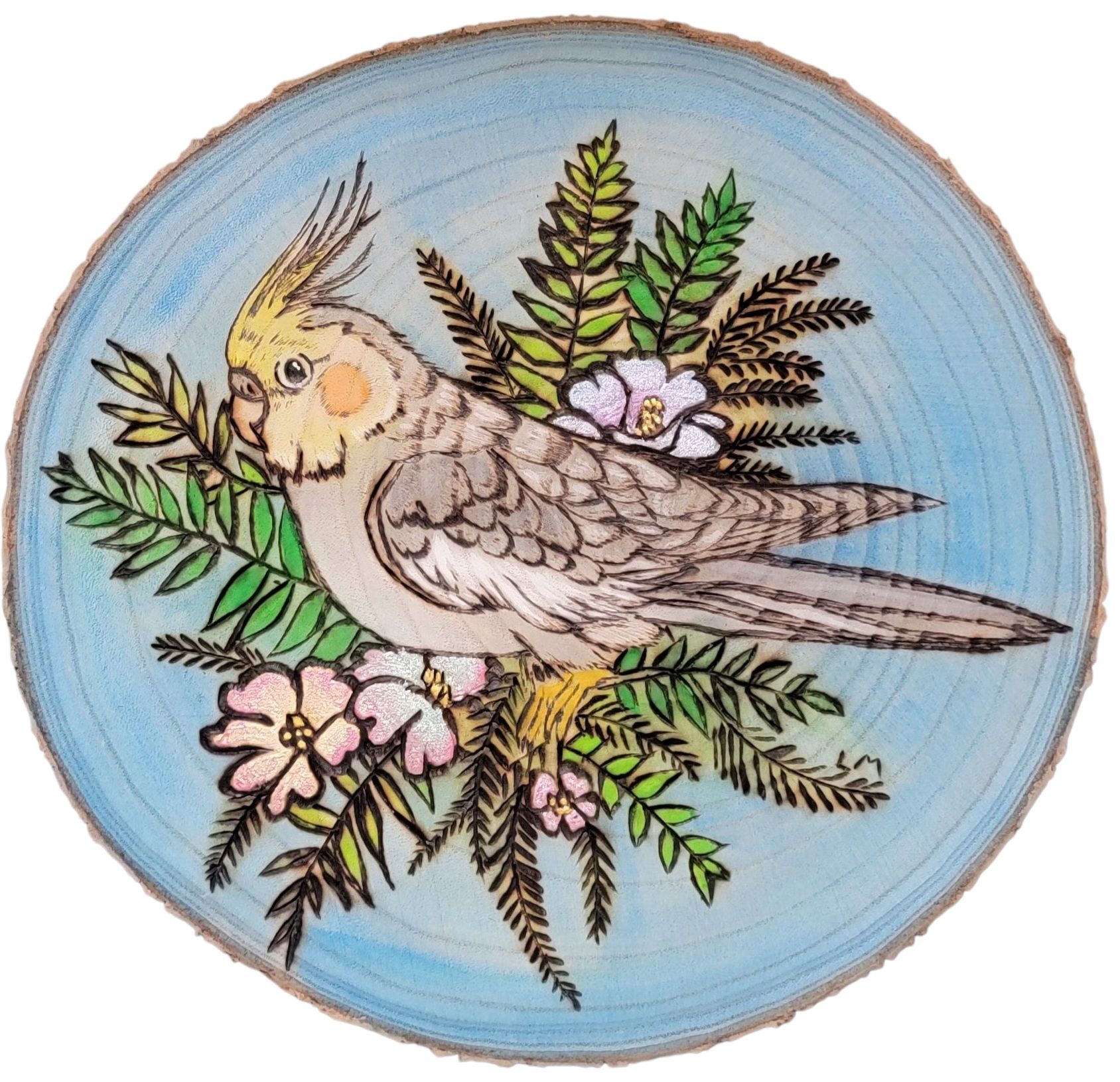 Cockatiel Art