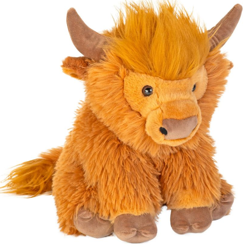 Highland Cow