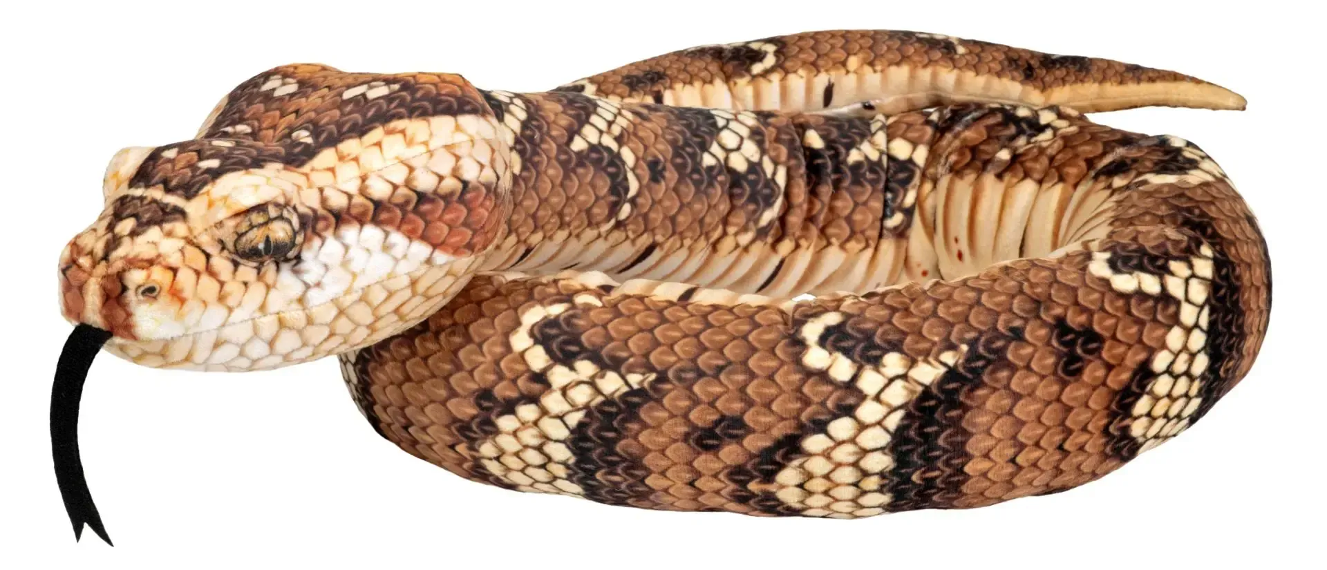 Puff Adder