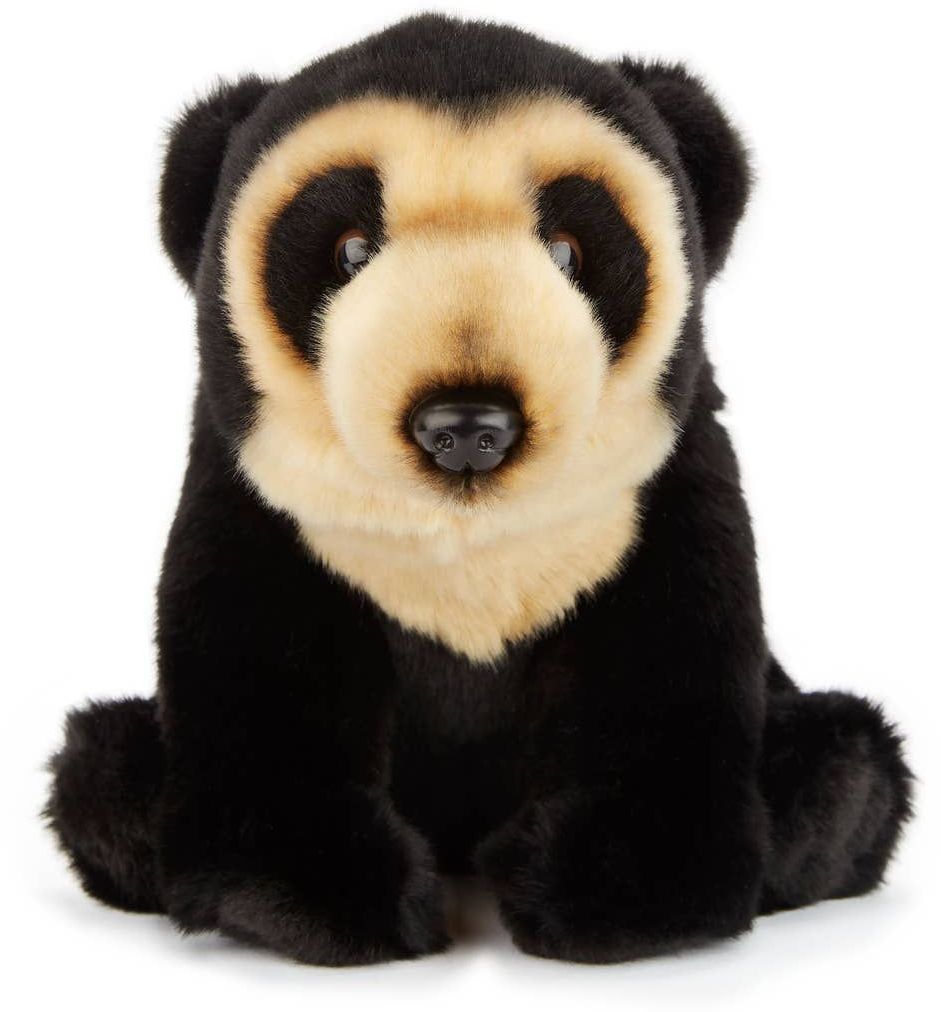 Andean Bear