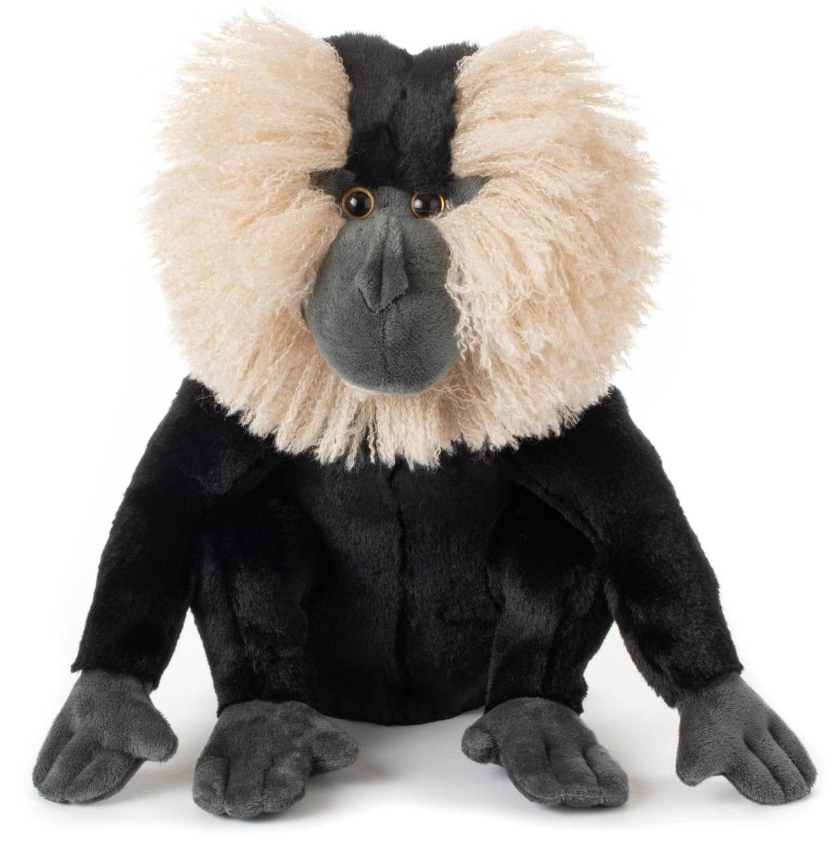 Lion-Tailed Macaque