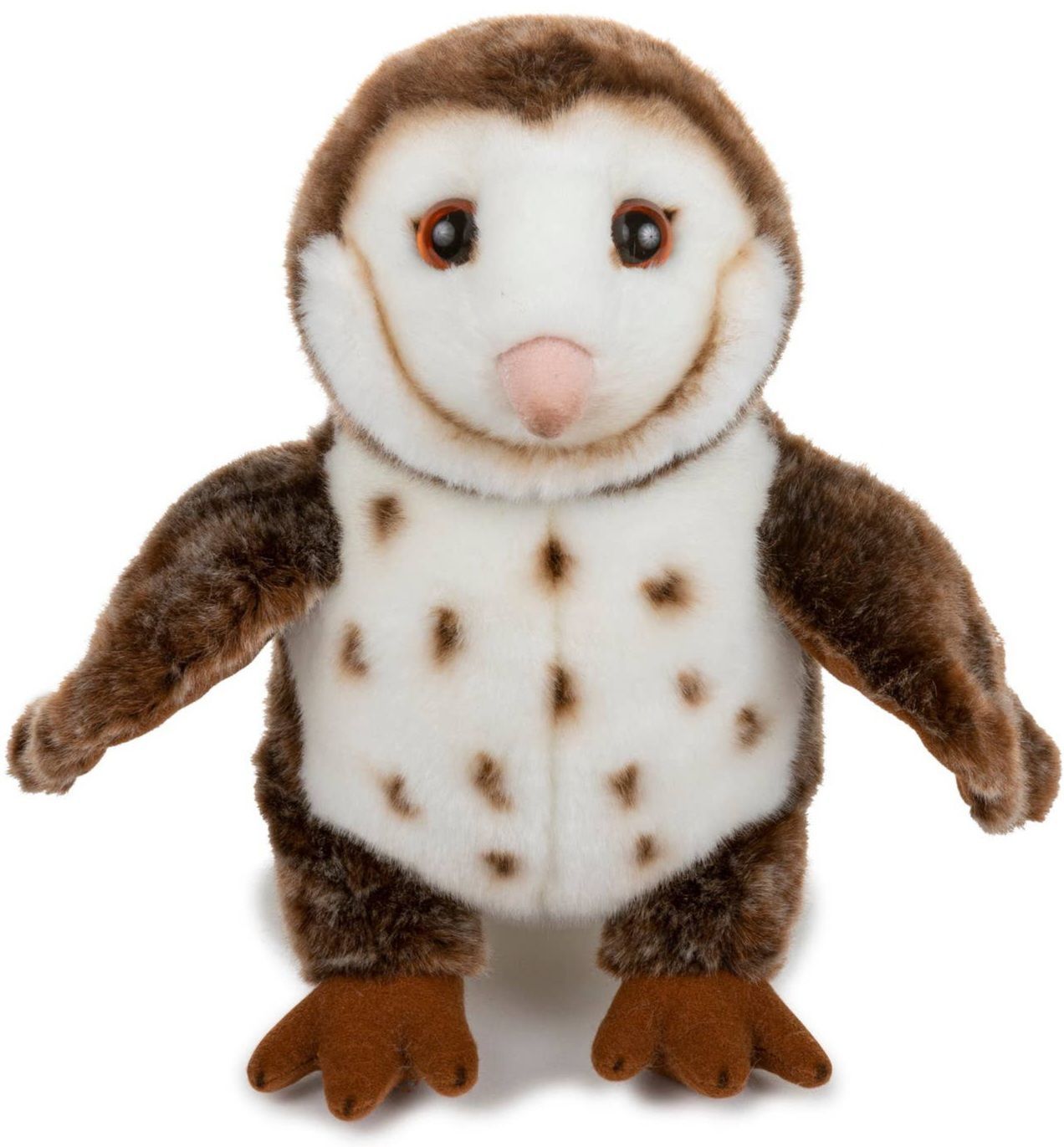 Barn Owl