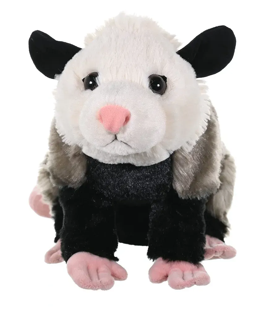 Opossum