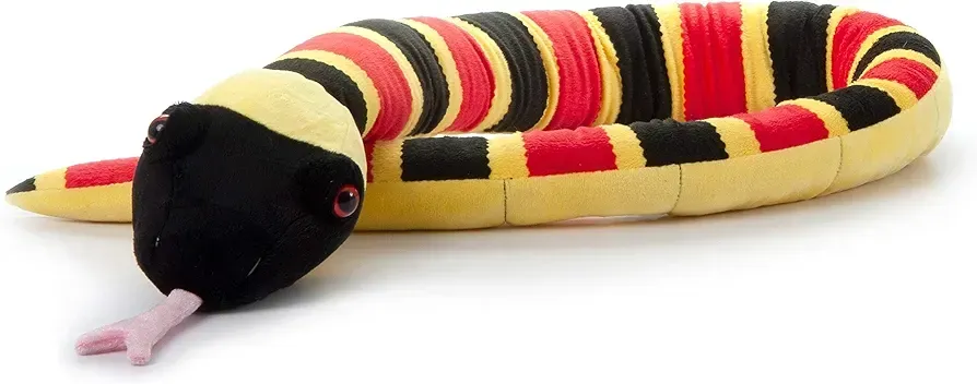 Coral Snake