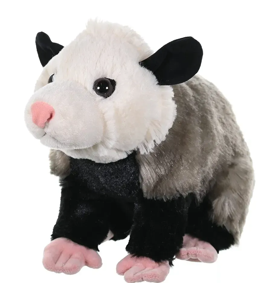 Opossum