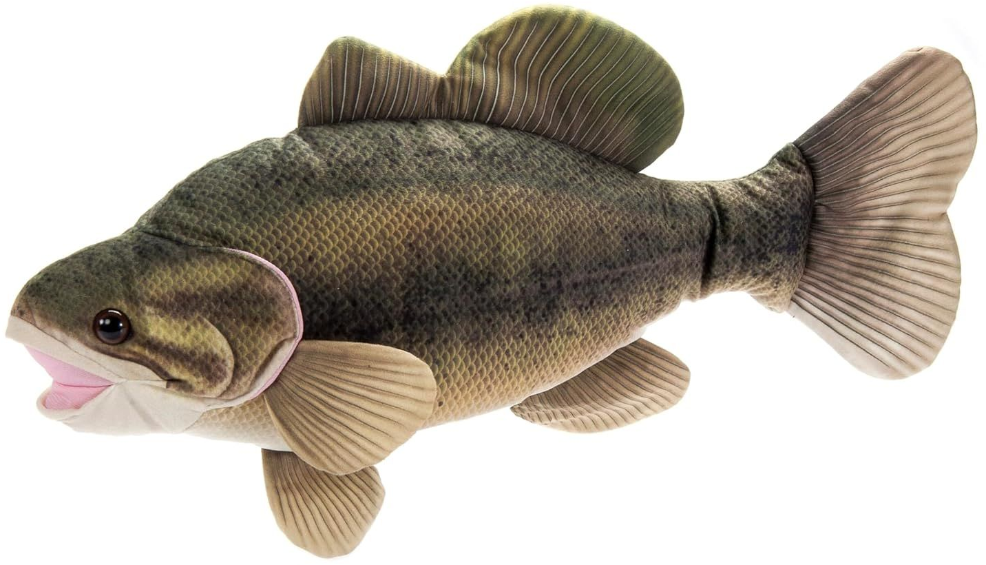 Bass