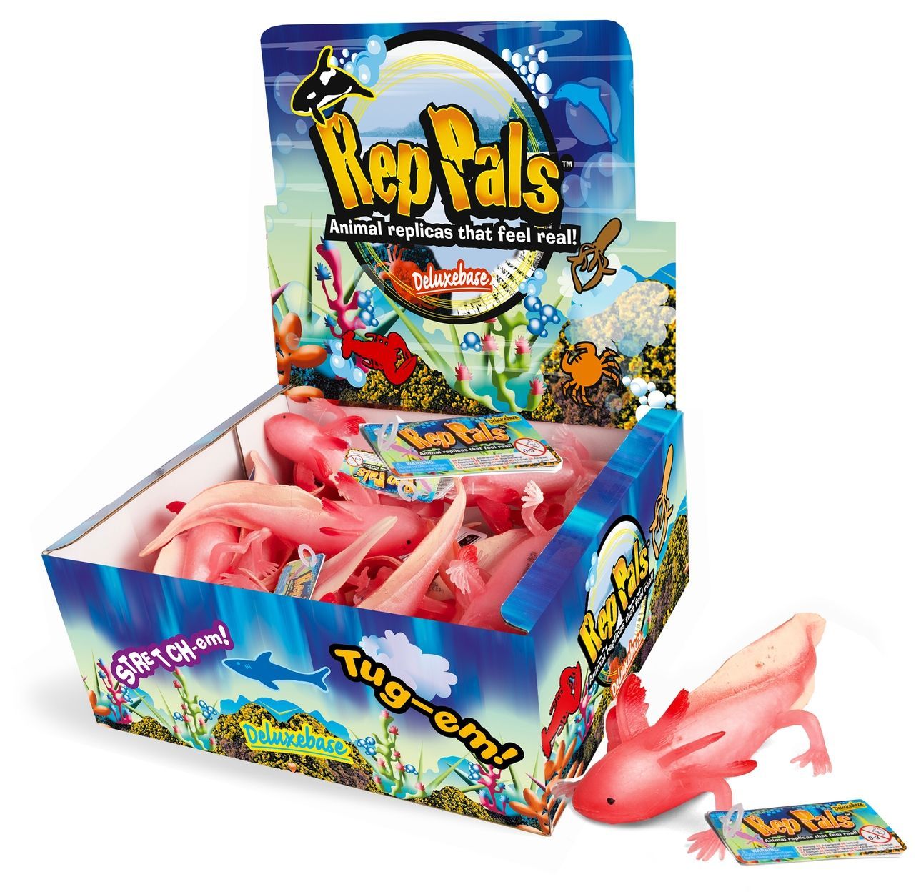 RepPals Axolotl