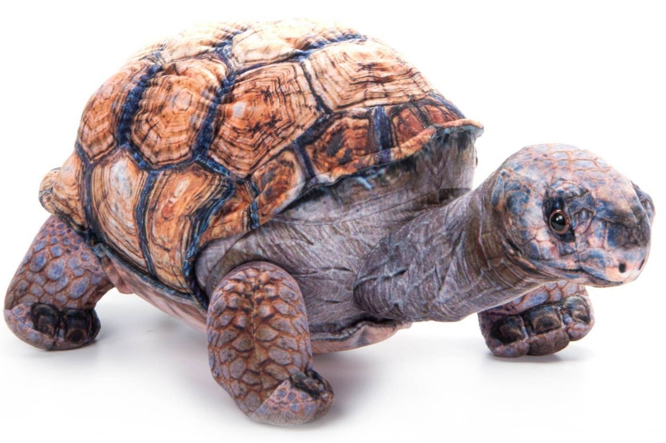tortoise plush, tortoise stuffed animal