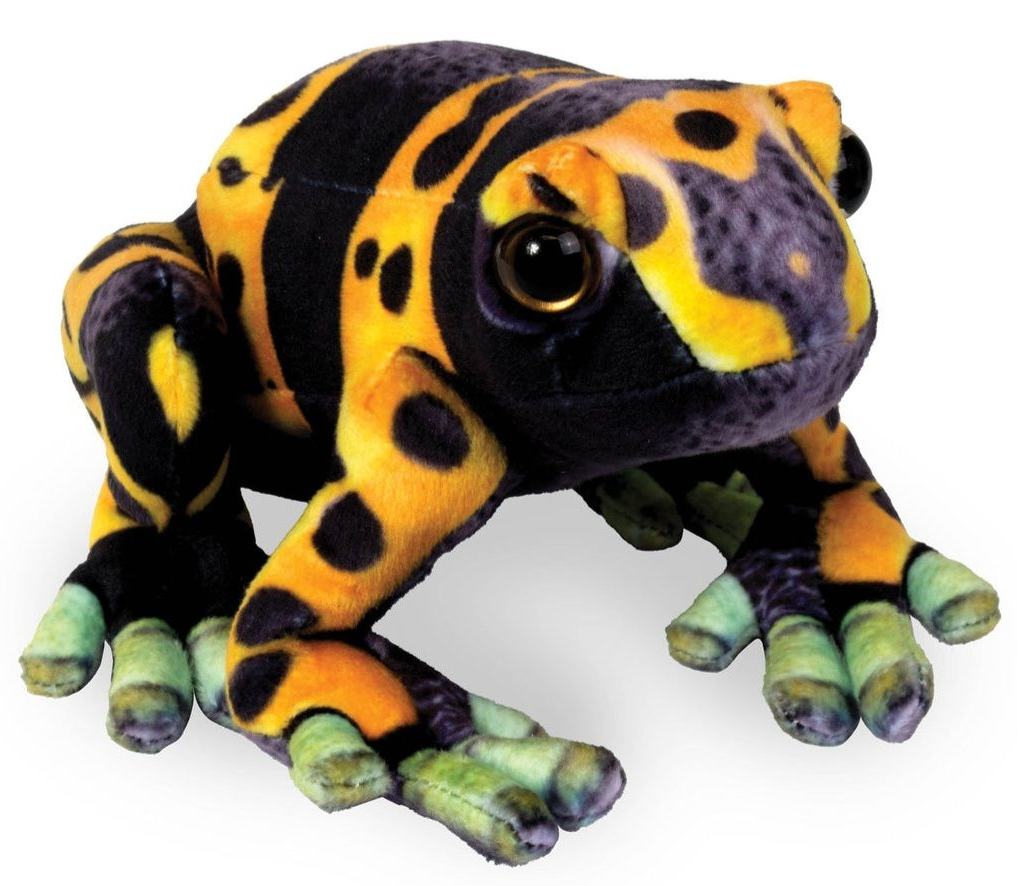 Bumblebee Dart Frog