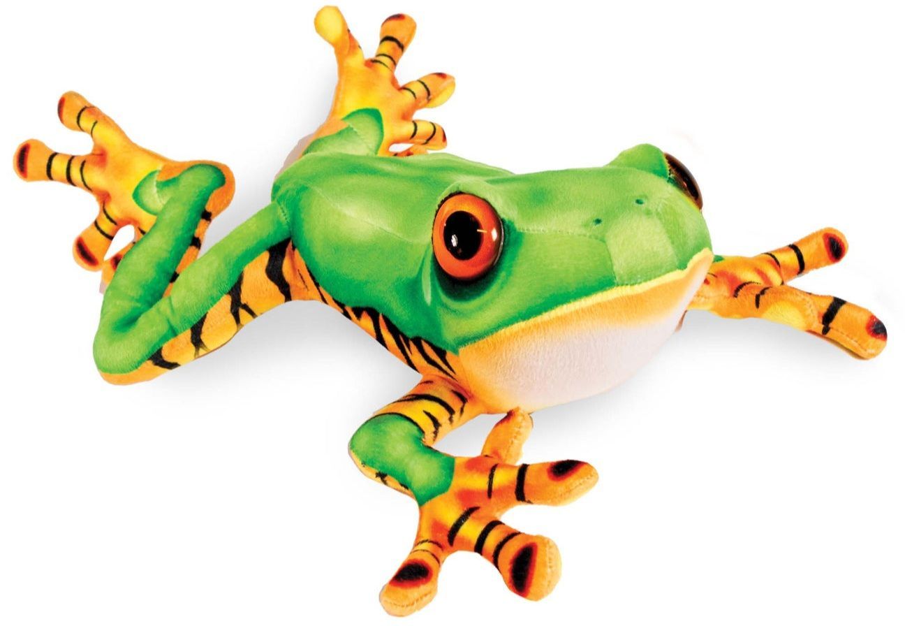 Tiger-leg Tree Frog