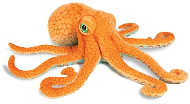 Octopus