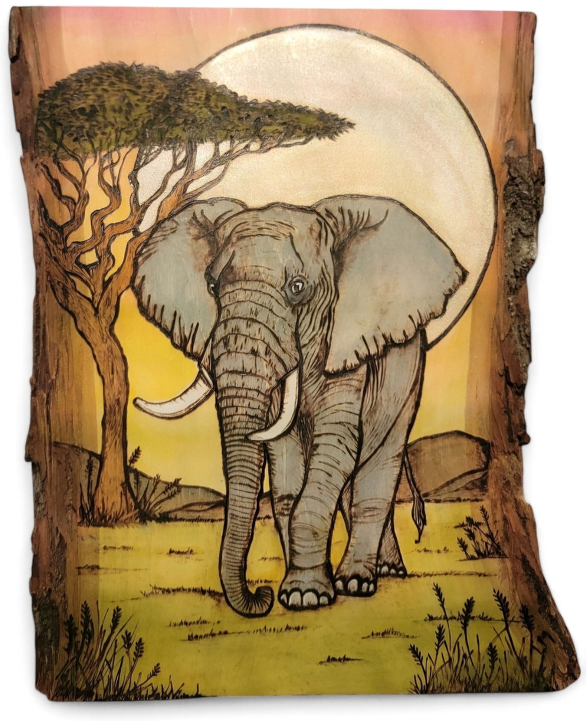 Elephant Plank
