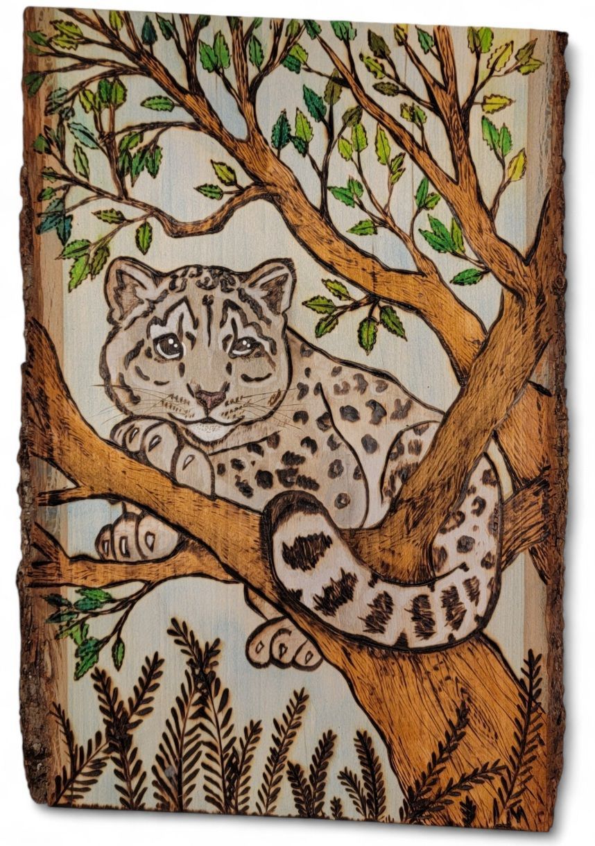 Snow Leopard Plank
