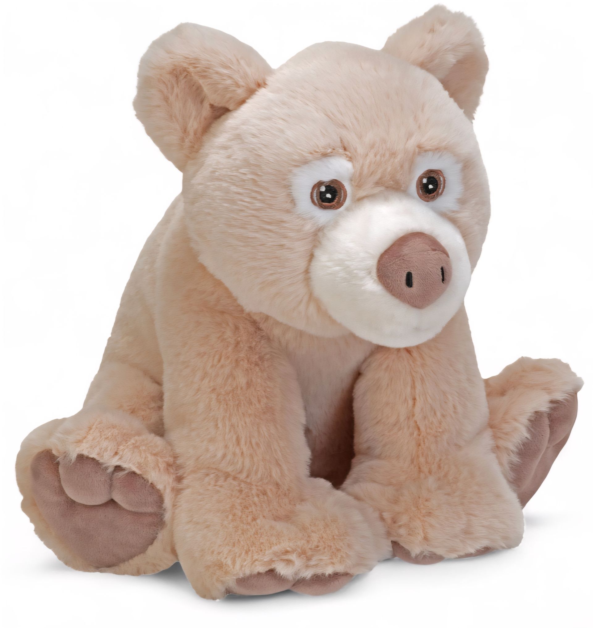 Eco Spirit Bear