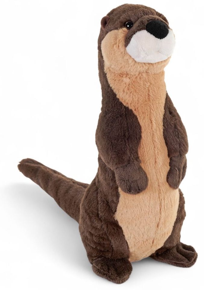 River Otter